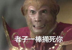 什么几把人生,钱也没有爱情迪没有表情包 - 表情图