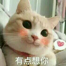 嘿嘿嘿微信恶搞小人表情包