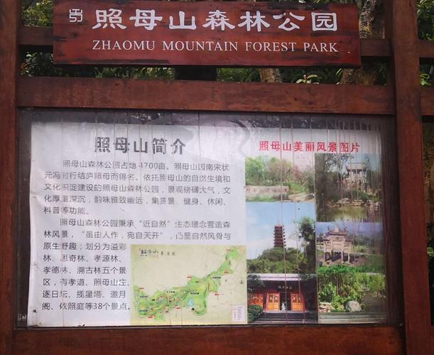 雨游照母山森林公园