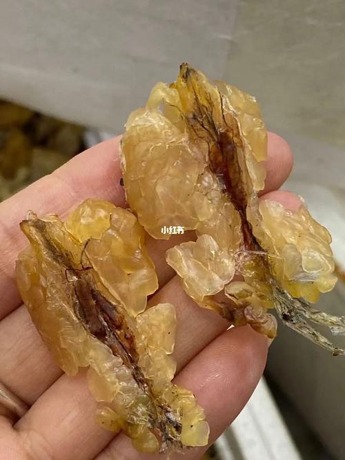 长白山雪蛤_长白山景区_美食_美食展示_食材展示
