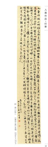 35@365十一届国展行草书入展部分作品(二王系列)