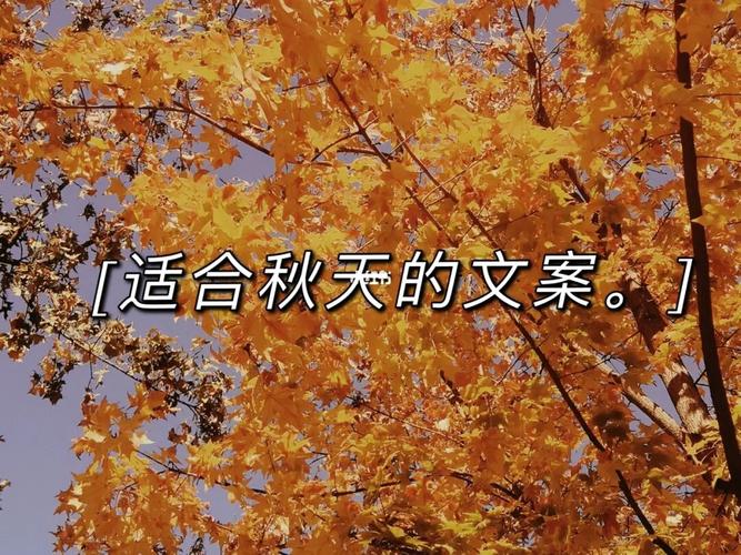 关于秋天的文案94|先收藏_秋天去哪玩_夏天去哪玩_文案_橘子_风景
