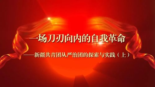 一场刀刃向内的自我革命新疆共青团从严治团的探索与实践上
