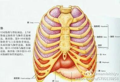 解决肋间神经痛不是大问题