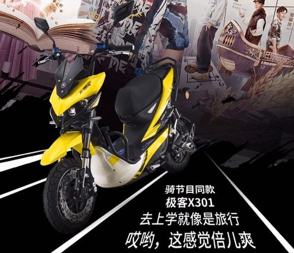 当完美主义的处女座与优秀的爱玛极客x301会碰撞出怎样的火花呢? 9.