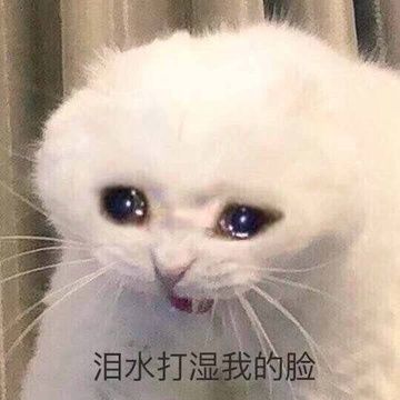 来自:豆瓣相册               舍不得删的表情包们