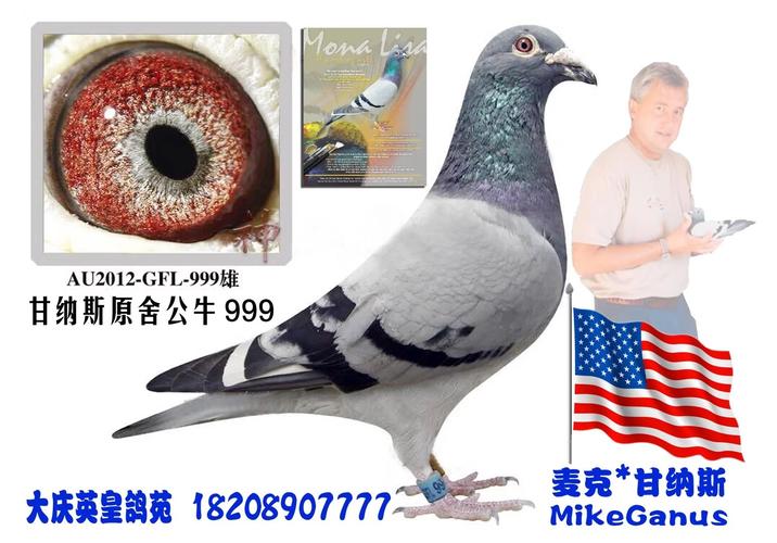 甘纳斯公牛999