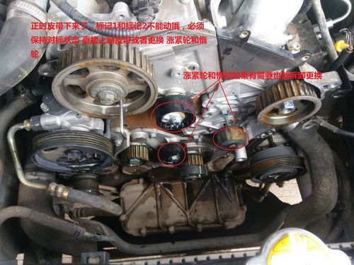 兔子:自己更换柴油绿静正时皮带和发动机皮带