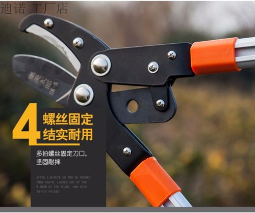 园艺大力剪粗枝剪刀伸缩果树省力锋利结实碳钢果园树木树剪子花园_7折
