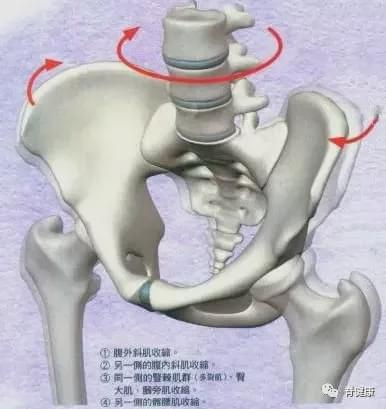 美女,你的"屁股眨眼"了,骨盆旋转很危险!