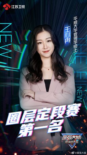 《最强大脑》第七季选手 王心冉