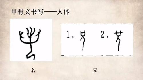 7.了解文字的演变历程.