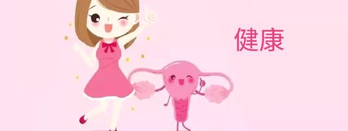 健康子宫内膜对备孕女性的必要