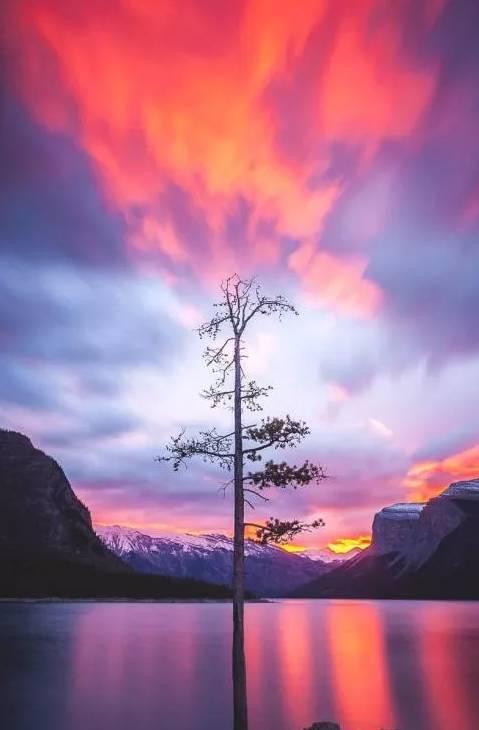 诗词鉴赏-有些风景 是孤独一人去欣赏!