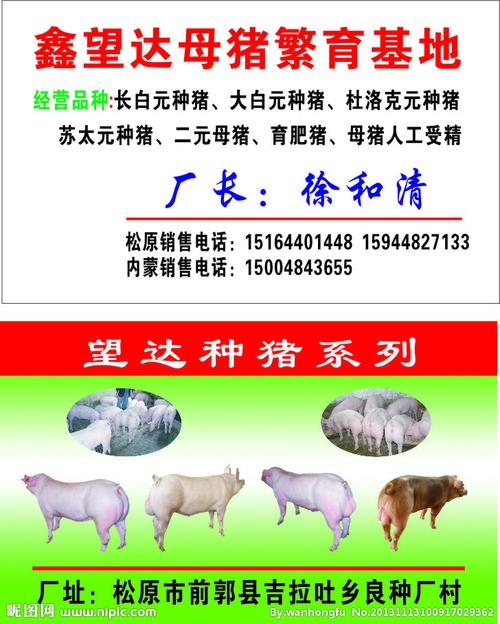 种猪矢量图__名片卡片_广告设计_矢量图库_昵图网.