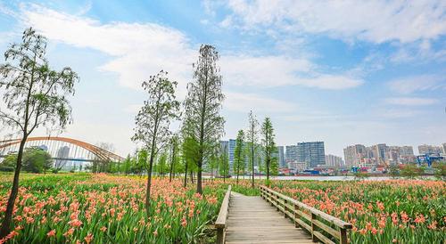 东平河湿地公园