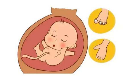 孕期最后一个月胎动的特点有哪些