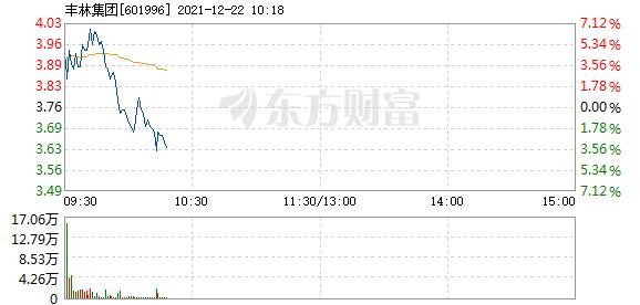 丰林集团12月22日快速反弹