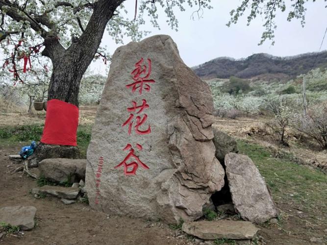 抚顺梨花谷景区