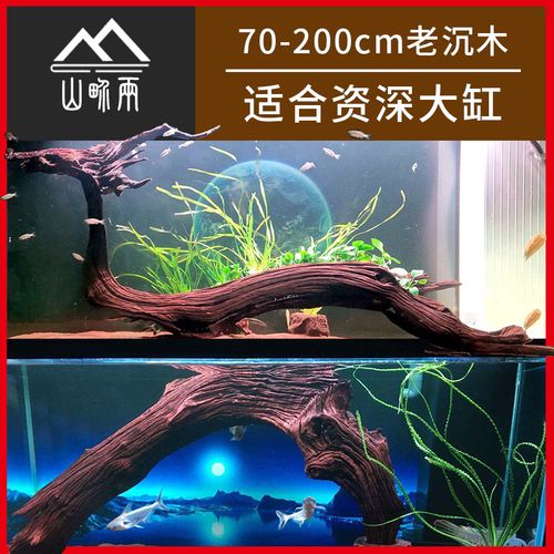 紫柚木天然鱼缸造景沉木大号大型南美缸树桩免煮木头树森林拱桥型