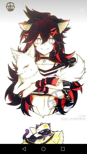 穿越凹凸世界之团宠女主