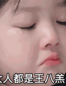 超萌超可爱的权律二gif动态表情包图片