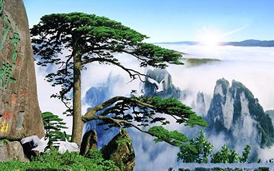 黄山四绝分别是什么
