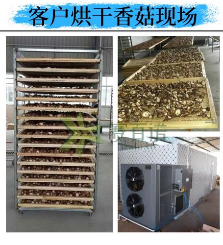 简易香菇烘干机源头厂家蘑菇烘干机质量可靠