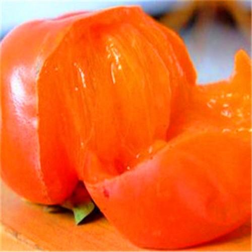 林芝巧克力柿子苗报价是多少