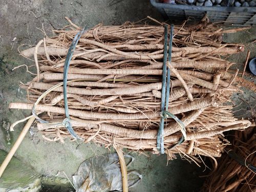 [牛大力批发]广东省肇庆市纯小叶野生牛大力价格45.00