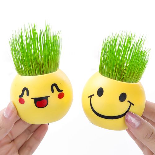 办公室桌面小植物迷你盆栽青草种植qq表情长草娃娃种植草生态瓶