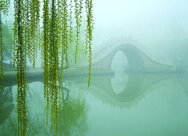 新传淑气催黄鸟,杨柳青青荫御桥. 春柳 水涨春同溢,莺知燕亦