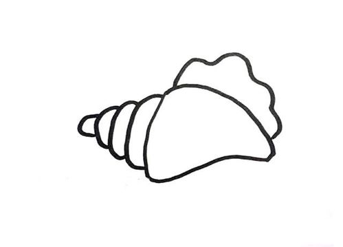 6款贝壳简笔画的简单画法