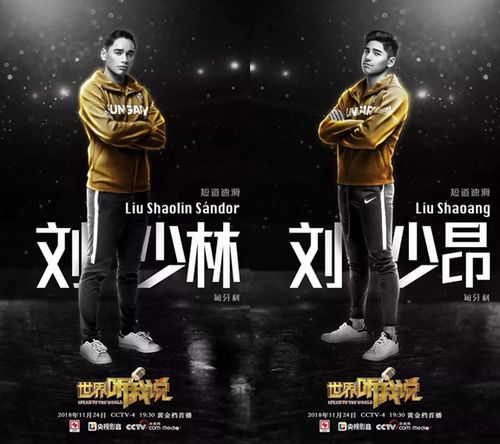 "华人讲述者"刘少林,刘少昂