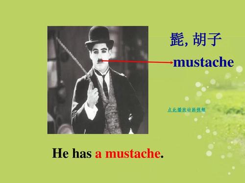 髭,胡子 mustache 点此播放动画视频 he has   mustache.