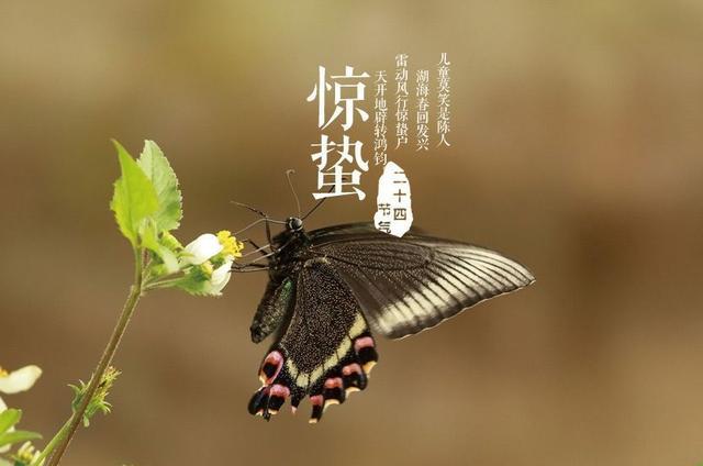 2022惊蛰快乐暖心祝福的句子_句子大全_第一句子网