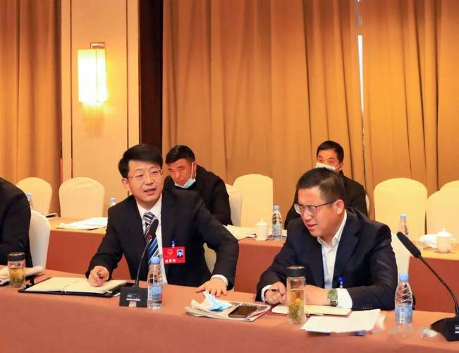 审议中,田醒民与三垛代表组代表围绕《政府工作报告》《关于高邮市