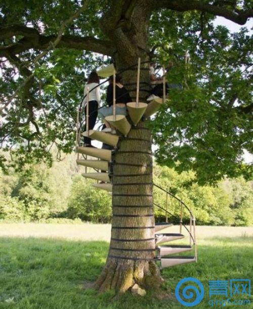 随时随地轻松上树,还不会对树木造成损坏.