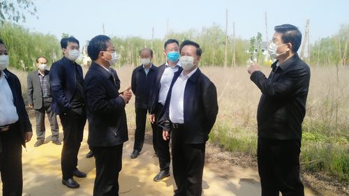 孙明亮到峡山区调研督导