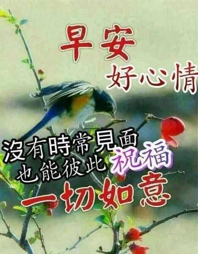 6月6日问候大家早上好动图美女2020 清晨祝福早上好问候语温馨