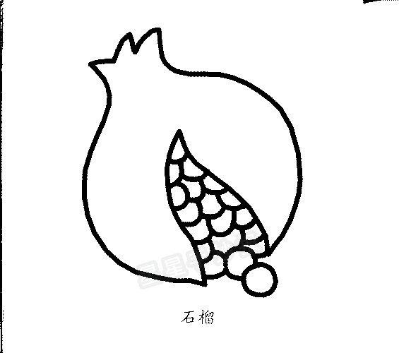 掰开石榴简笔画