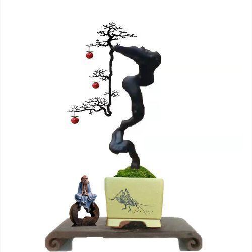 金弹子和普通树桩的碳化现象截然不同原来秘密在这现在才知道