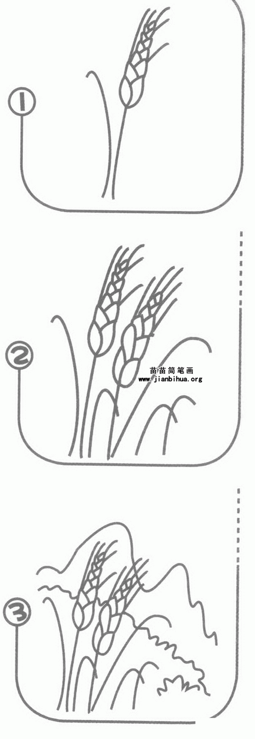麦田简笔画图片教程