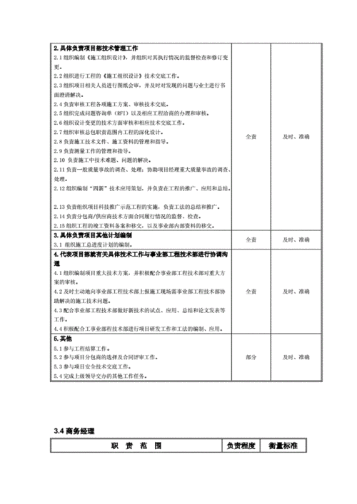 项目管理人员职责分工-说明书.doc 19页