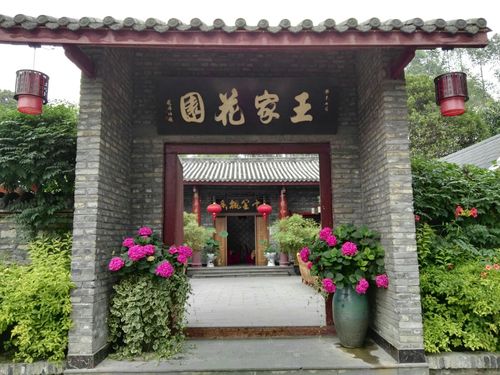 邻居,朋友,在新华公园,三圣乡王家花园玩耍
