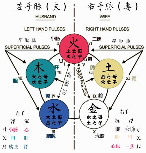 079/199|速查手册:五行针灸治疗次第——祛邪,扶正