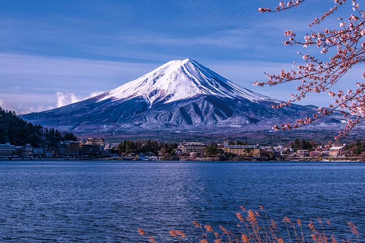 19年樱花盛开时节的富士山河口湖