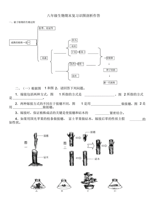 人教版八年级生物下册识图资料.doc 9页