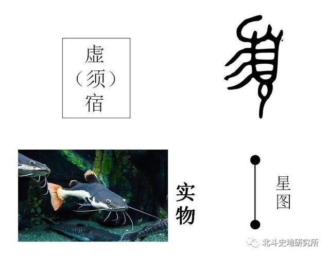 虚宿和旗下众多星官合在一起,颇像长短不一