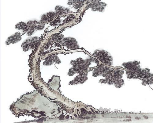 感受国画中的古树